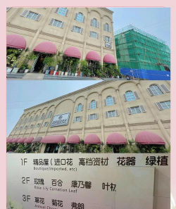 矿泉水瓶养花，废物利用，轻松打造小花园