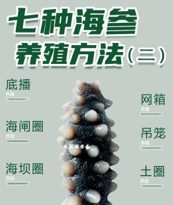 矿泉水瓶养花，废物利用，轻松打造小花园