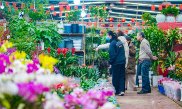 花卉生意，市场前景广阔，经营模式多样