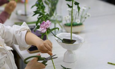 香蕉皮养花，废物利用，省钱又环保