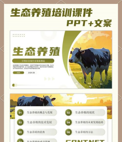 矿泉水瓶养花，废物利用，轻松打造小花园