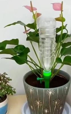 矿泉水瓶养花，废物利用，轻松打造小花园