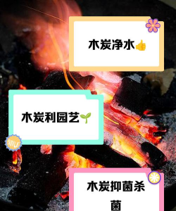 昆明斗南花卉市场价格，了解行情动态，掌握选购技巧