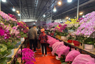 养花工具大全，新手必备清单，轻松打理花草