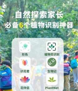 养花工具大全，新手必备清单，轻松打理花草