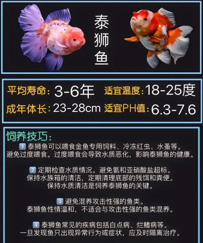 家庭养殖致富项目，选择适合的品种，掌握关键养殖技术