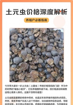 养花工具大全，新手必备清单，轻松打理花草