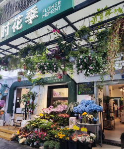 养花工具大全，新手必备清单，轻松打理花草