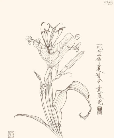 养花工具大全，新手必备清单，轻松打理花草