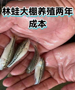 养花工具大全，新手必备清单，轻松打理花草