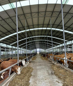 天津滨海花卉科技园，赏花好去处，亲子游玩推荐