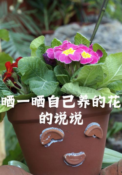 天津滨海花卉科技园，赏花好去处，亲子游玩推荐