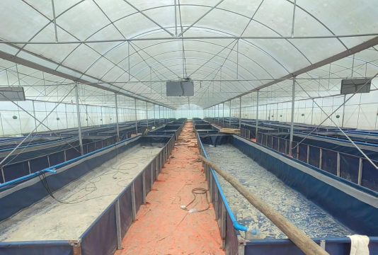 养花工具大全，新手必备清单，轻松打理花草