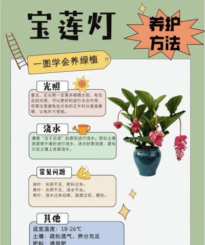 天津滨海花卉科技园，赏花好去处，亲子游玩推荐