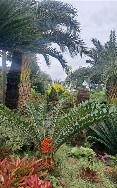 天津滨海花卉科技园，赏花好去处，亲子游玩推荐