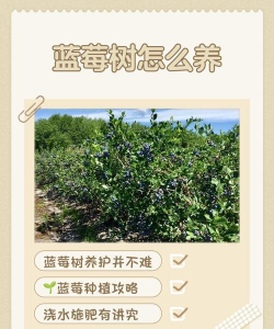 天津滨海花卉科技园，赏花好去处，亲子游玩推荐