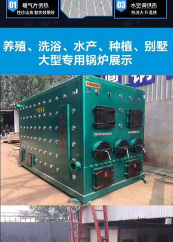 天津滨海花卉科技园，赏花好去处，亲子游玩推荐