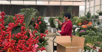 养花工具大全，新手必备清单，轻松打理花草