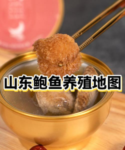 养花语录，记录美好瞬间，传递生活感悟