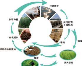 养花语录，记录美好瞬间，传递生活感悟