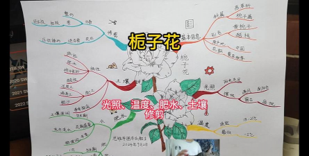 花卉栽培论文，写作要点分析，结构框架梳理