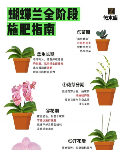 养花语录，记录美好瞬间，传递生活感悟