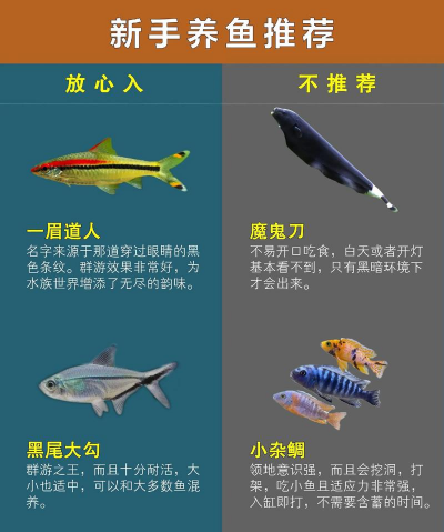 天津滨海花卉科技园，赏花好去处，亲子游玩推荐