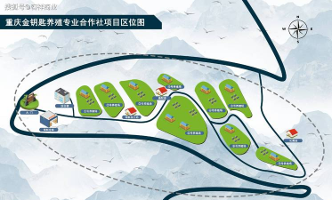 天津滨海花卉科技园，赏花好去处，亲子游玩推荐