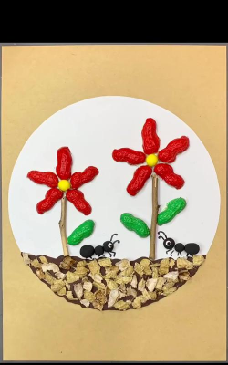 天津滨海花卉科技园，赏花好去处，亲子游玩推荐