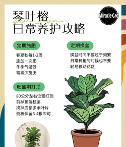 天津滨海花卉科技园，赏花好去处，亲子游玩推荐