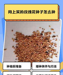 养花工具大全，新手必备清单，轻松打理花草