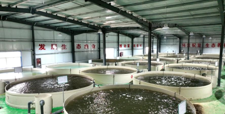 养花工具大全，新手必备清单，轻松打理花草