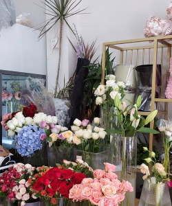 养花语录，记录美好瞬间，传递生活感悟