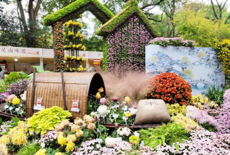 养花语录，记录美好瞬间，传递生活感悟