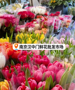 南京花卉西市场，花卉种类多，价格也实惠