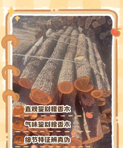 檀香木最简单的鉴别方法