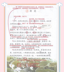 养花工具大全，新手必备清单，轻松打理花草