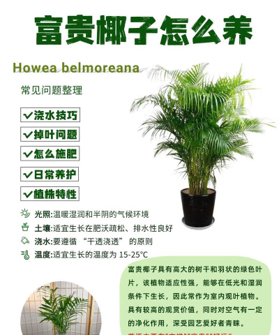 养花语录，记录美好瞬间，传递生活感悟