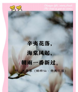 昆明斗南花卉市场价格，了解行情动态，掌握选购技巧