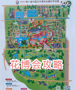 养花寄语，传递美好情感，点缀生活空间