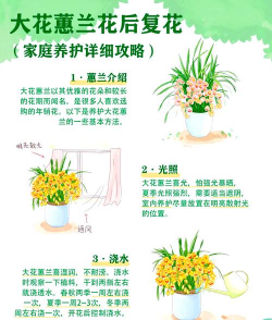 养花工具大全，新手必备清单，轻松打理花草