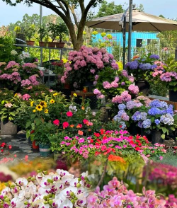 养花工具大全，新手必备清单，轻松打理花草