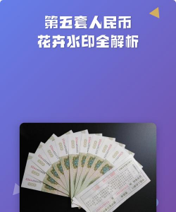 红色花卉，点亮家居氛围，增添生活色彩