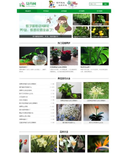 红色花卉，点亮家居氛围，增添生活色彩