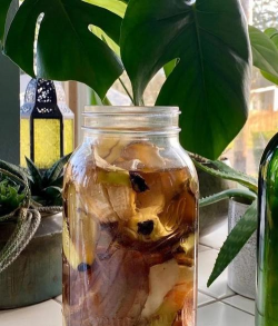 香蕉皮养花，废物利用，省钱又环保