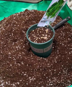 绿植花卉批发，货源怎么找，价格怎么谈