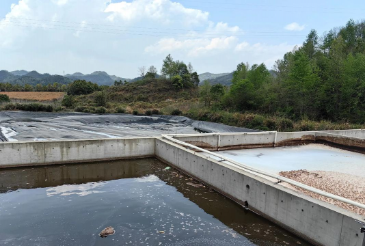 淡水养殖对虾，掌握关键技巧，实现稳定收益