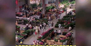 昆明斗南花卉市场价格，了解行情动态，掌握选购技巧