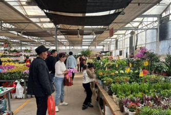 养花语录，记录美好瞬间，传递生活感悟