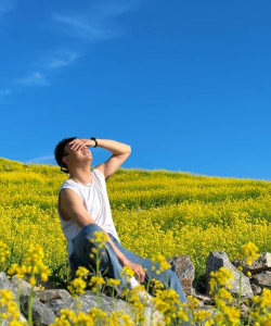 养花语录，记录美好瞬间，传递生活感悟